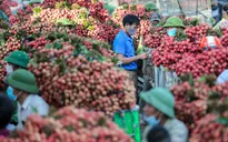 Nông nghiệp - “Bệ đỡ” của nền kinh tế trong bối cảnh dịch COVID-19
