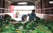 Tiền Giang mở “luồng xanh” chuyển hàng hóa nông sản về TP Hồ Chí Minh