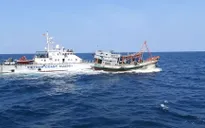 Cảnh sát biển truy đuổi bắt giữ tàu cá che mờ biển sồ đi đánh bắt hải sản về