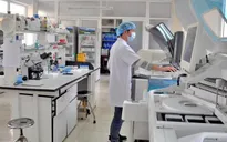Thủ tướng phê duyệt nhà thầu trong trường hợp đặc biệt mua trang thiết bị phòng, chống dịch