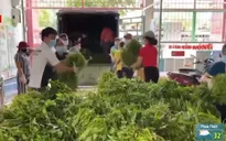 Liên tục các chuyến hàng hóa thiết yếu từ mọi miền Tổ quốc chở về TP Hồ Chí Minh
