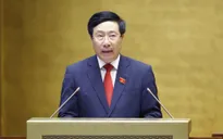 Phó Thủ tướng: Dập dịch nhanh nhất, sớm nhất tại TP Hồ Chí Minh và một số tỉnh bùng phát mạnh