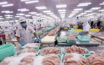 Cước vận tải biển tăng lịch sử, nhiều mặt chủ lực nguy cơ mất thị trường