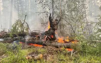 Siberia đối mặt với cháy rừng sau tháng 6 khô nóng nhất trong 133 năm qua