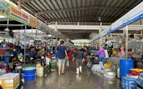 Ghi nhận thêm ca mắc COVID-19, cảng cá lớn nhất miền Trung tạm đóng cửa