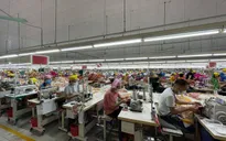 12.000 lao động được trả lương từ gói hỗ trợ 7.500 tỷ đồng