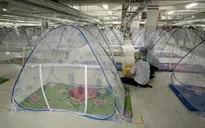 Doanh nghiệp gặp khó với "3 tại chỗ"