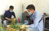 Hướng dẫn viên du lịch: Từ ăn nhà hàng, ở khách sạn giờ chật vật mưu sinh vì COVID-19