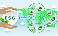 Đại dịch COVID-19 đang định hình rõ hơn xu hướng đầu tư ESG