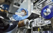 Nhà nước nắm giữ 100% vốn điều lệ của doanh nghiệp hoạt động trong lĩnh vực nào?