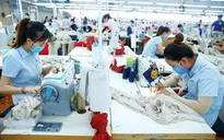 Thương mại Việt Nam - EU tăng trưởng mạnh mẽ nhờ EVFTA