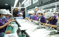 Đề xuất lập “doanh nghiệp xanh” ở từng địa phương, ngành hàng