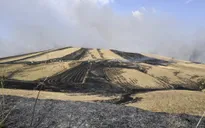 Sicily ghi nhận nhiệt độ kỷ lục 48,8°C, nền nhiệt cao nhất từ trước đến nay ở châu Âu