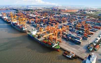 Sớm điều chỉnh phí sử dụng dịch vụ hạ tầng cảng biển Hải Phòng