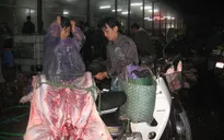 Hà Nội: Tìm người đến lò mổ Minh Hiền liên quan 2 ca dương tính với SARS-CoV-2