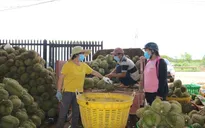 Sầu riêng Việt Nam được ưa chuộng
