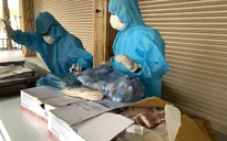 Đà Nẵng: Phương châm "4 tại chỗ" và "3 sẵn sàng" cung ứng nhu yếu phẩm