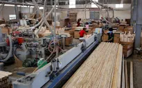 Cảnh báo 10 sản phẩm xuất khẩu đối diện nguy cơ phòng vệ thương mại