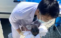 Bé trai kháu khỉnh chào đời trên xe cảnh sát