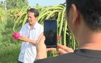 Dạy bán hàng online, livestream miễn phí cho nông dân