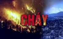 Châu Âu ghi nhận hàng chục ngàn vụ cháy rừng thảm khốc