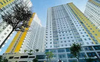 Giá nhà vẫn tăng “phi mã” bất chấp dịch COVID-19 - Vì sao?