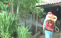 Hà Tĩnh: Xuất hiện ổ dịch sốt xuất huyết tại huyện Lộc Hà