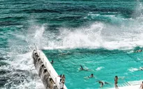 Australia công bố kế hoạch mở cửa biên giới trở lại