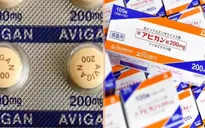 Sẽ tiếp nhận 1 triệu viên Avigan điều trị COVID-19 của Nhật Bản