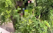 Người đàn ông treo cổ tại công viên Thành Công dương tính với SARS-CoV-2