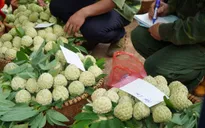 Thương mại điện tử - Cơ hội cho nông nghiệp các địa phương