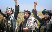 Cam kết không sản xuất thuốc phiện của lực lượng Taliban liệu có thành sự thật?