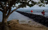 Tình hình dịch căng thẳng, Hawaii kêu gọi người dân không đi du lịch