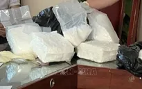 Triệt xóa đường dây sử dụng phụ nữ mang thai đi nhận ma túy