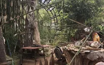 1 người đàn ông tử vong do cưa đạn