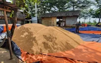 Bà Rịa - Vũng Tàu: Lợi dụng dịch bệnh, tài xế lấy trộm hơn 50 tấn bắp hạt mang đi bán