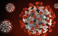 Người nhiễm biến thể Delta có thể lây lan virus 2 ngày trước khi có triệu chứng