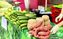 “Bão” COVID-19: Doanh nghiệp điện, nước đi bán... rau