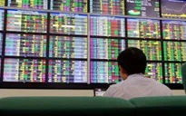 Cổ phiếu thép và xi măng bứt phá, VN-Index tăng mạnh