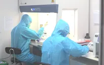 Hà Nội: Tăng cường phát hiện, thu dung, quản lý, điều trị ca bệnh COVID-19
