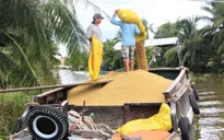 Khơi thông “luồng xanh” đường thủy để tiêu thụ nông sản