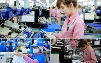 Đề xuất tạm dừng, giảm mức đóng bảo hiểm xã hội cho doanh nghiệp