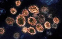 Người đã tiêm vaccine COVID-19 vẫn có thể phát tán virus SARS-CoV-2