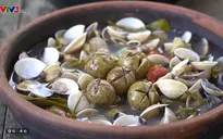 Những món ăn từ sấu mà bạn không thể bỏ qua