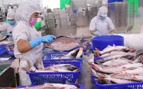 Xuất khẩu thủy sản vẫn có thể đạt mục tiêu 9 tỷ USD