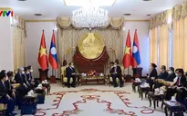 Chủ tịch nước gặp nguyên lãnh đạo Đảng, Nhà nước Lào