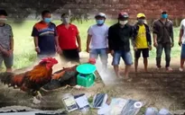 Bất chấp lệnh giãn cách, hàng chục người tụ tập đá gà ăn tiền