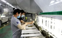 Thêm mô hình “4 xanh” cho doanh nghiệp TP Hồ Chí Minh