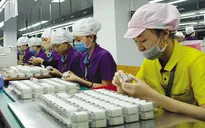 Doanh nghiệp “vùng xanh” Hà Nội phấn khởi trở lại sản xuất