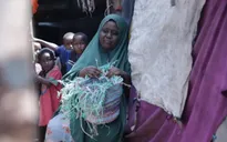 COVID-19, xung đột và biến đổi khí hậu tàn phá Somalia